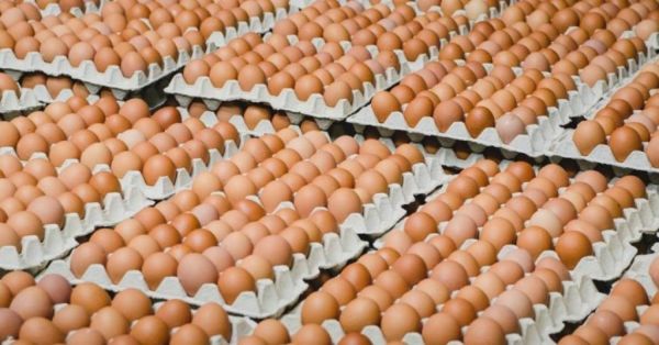 В Николаевские области в декабре цены на яйца и овощи били рекорды