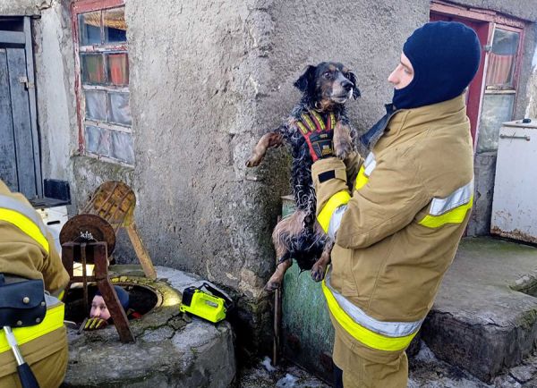 Николаевские спасатели вытащили собаку из 8-метрового колодца