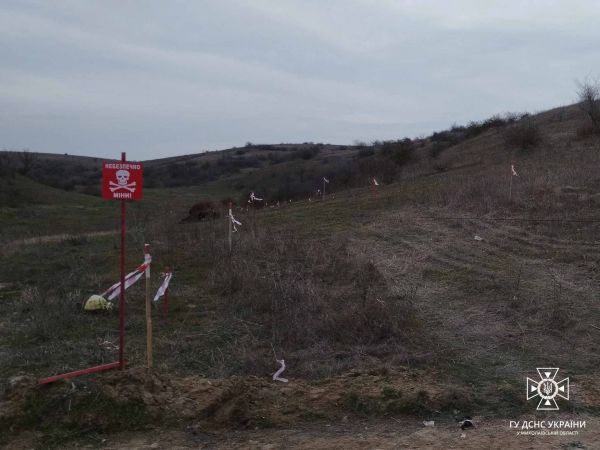 В Николаевской области корова забрела на минное поле