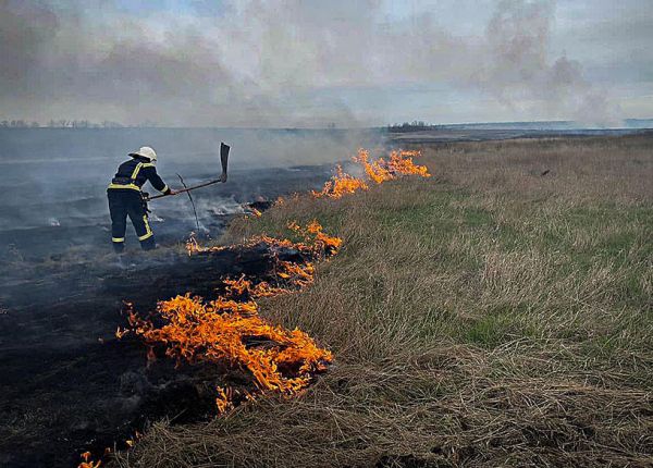 Масштабный пожар в заповеднике «Еланецкая степь»: выгорело 5 га целины (фото)