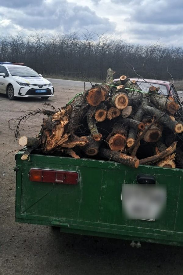 Возле Николаева остановили авто с прицепом дров – водитель оплатил штраф