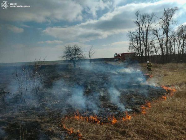 Вчера в Николаевской области неизвестные устроили семь пожаров