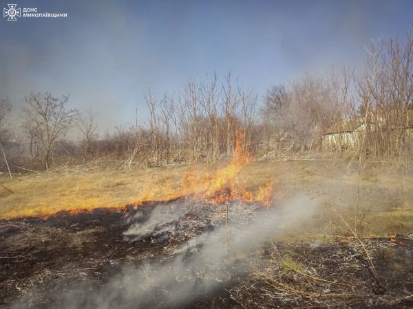 На Николаевщине 10-летний мальчик со спичками устроил пожар
