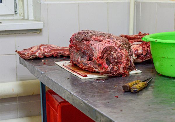 Коровы сдохли, но мясо не пропало: с николаевских рынков изъяли полторы тонны мяса больных животных