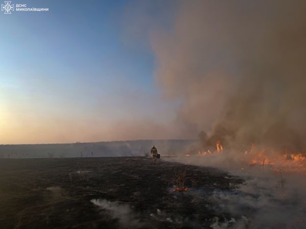 В Николаевской области во время пожара спасли восемь поросят