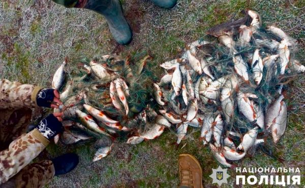 Вознесенский браконьер заплатит по 1600 гривен за каждую незаконно выловленную рыбу