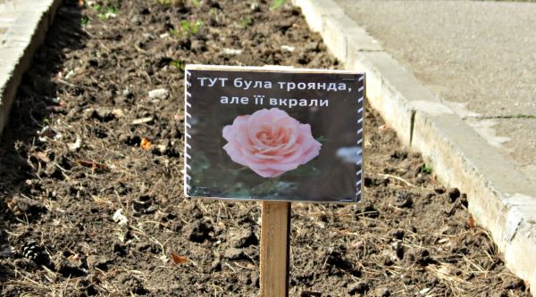 В «Николаевских парках» утверждают, что горожане воруют высаженные цветы с клумб