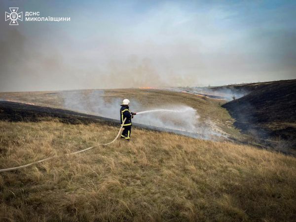 В Николаевской области горели три гектара сухостоя, жилой дом и грузовик
