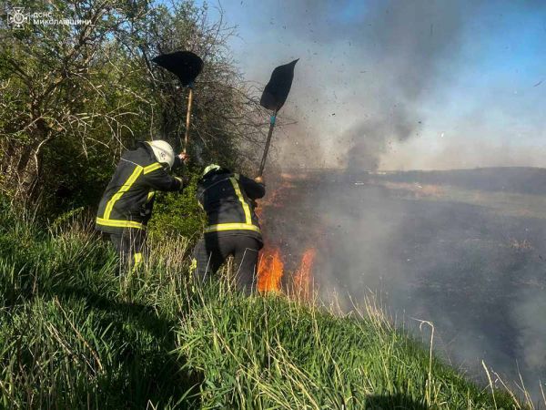 Николаевщина страдает от умышленных поджогов – огнем охвачено около трех гектаров