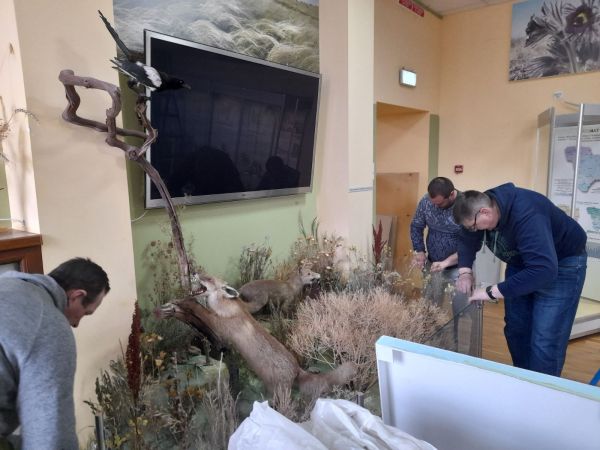 Экспозиции Николаевского краеведческого музея помогает восстанавливать House of Europe (фото)