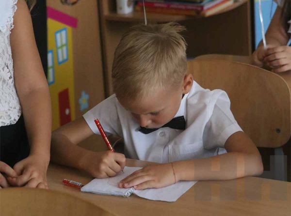 Школьники в Николаеве должны выйти на очное обучение, – минобразования