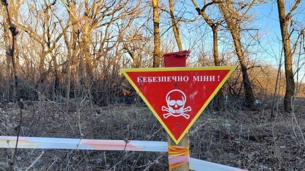 Взрыв в Гороховке: двое мужчин попытались поднять снаряд