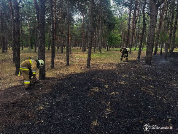 Балабановский лес, жилье в Николаеве, фура с кукурузой – пожары на Николаевщине