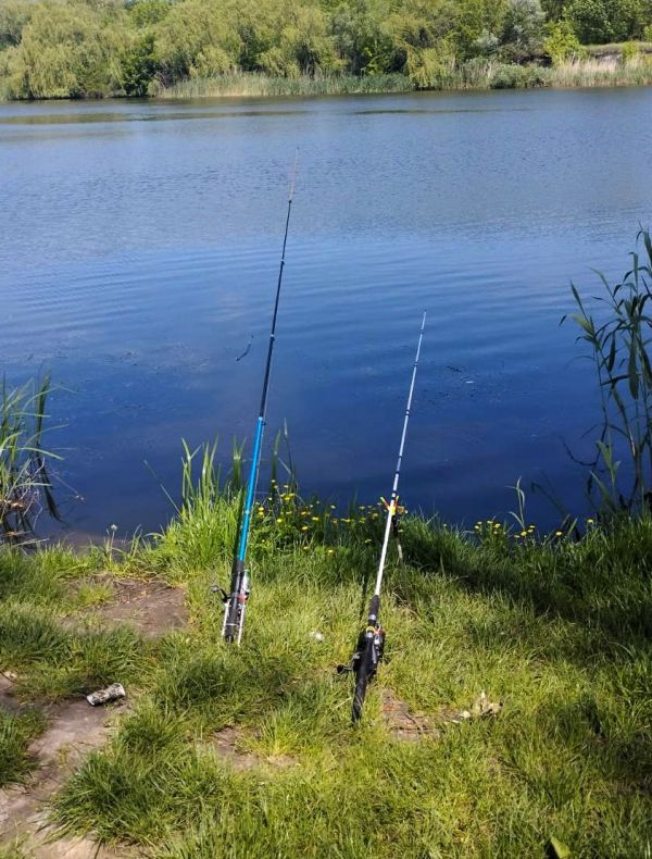 Рыбака в Николаевской области оштрафовали за крючок, а продавщицу тарани отдадут под суд