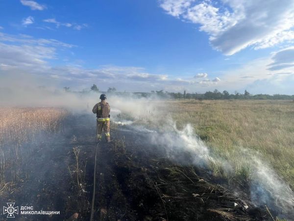 В Николаевской области загорелось поле ячменем. Фото