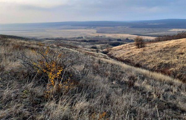 В Николаевской области создан ландшафтный заказник «Чертальские горизонты»