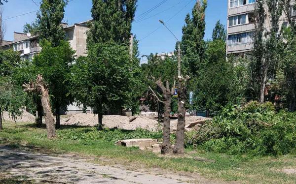 «Николаевобэнерго» варварски кронировало деревья на улице Пограничной (фото)