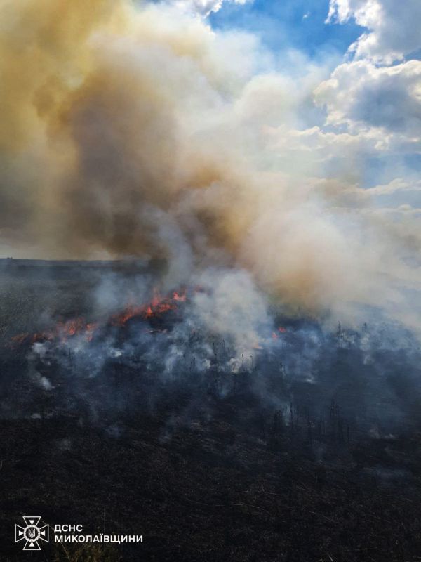 В Николаевской области сгорело 15-гектарное поле с урожаем 2024 года
