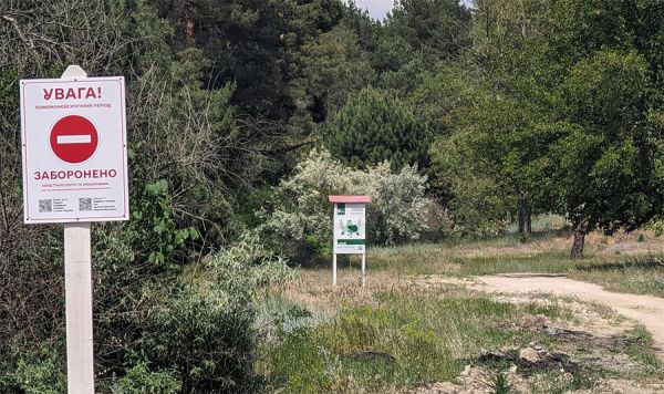 В Николаевской области введен запрет на посещение лесов