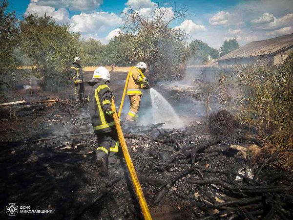 В Николаевской области огонь за сутки прошел площадь в 20 гектаров