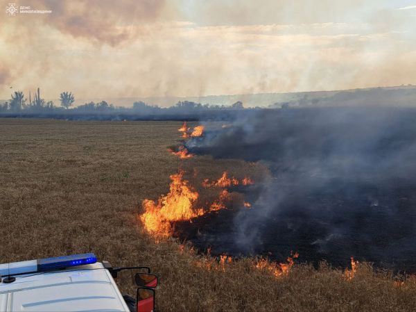 В Николаевской области резко возросло количество пожаров на сельхозугодьях