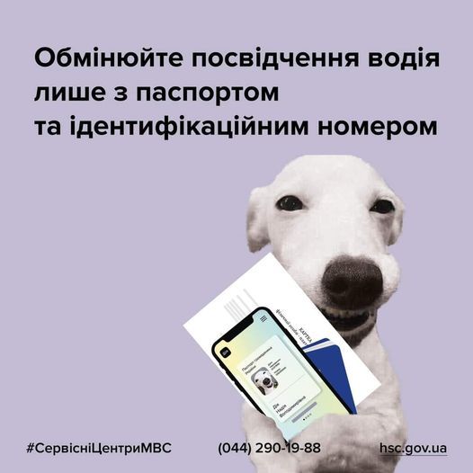 Во время обмена водительского удостоверения одной справкой стало меньше, – Сервисные центры МВД в Николаевской области