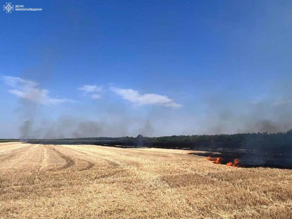 В Николаевской области за сутки огонь и оккупанты уничтожили 28 гектаров сельхозугодий