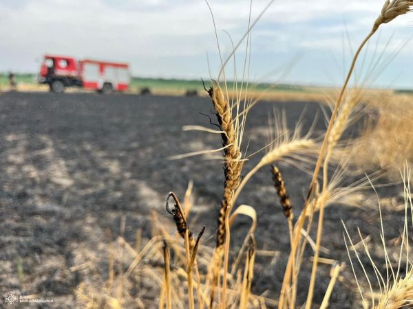 Утром на Николаевщине сгорел комбайн и 3 га пшеницы