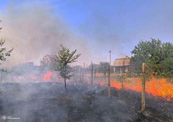 Масштабный пожар на дачах под Николаевом: огонь угрожает домам (фото)