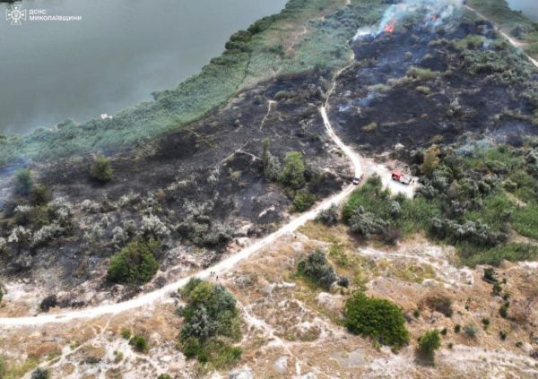 В Николаеве пожар на берегу на Намыве: спасатели останавливали огонь у жилых домов