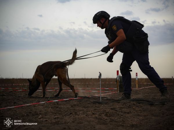 На Николаевщине саперы вместе с обученными собаками нашли 15 боеприпасов