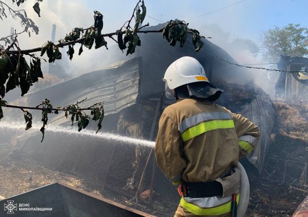 В Николаевской области за сутки произошло 36 пожаров на площади в 35 гектаров