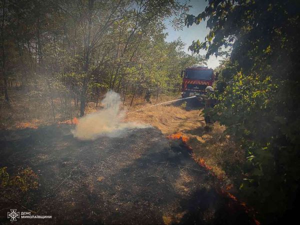 В Николаевской области горели территории двух ландштафтных парков и жилой дом после воздушного боя