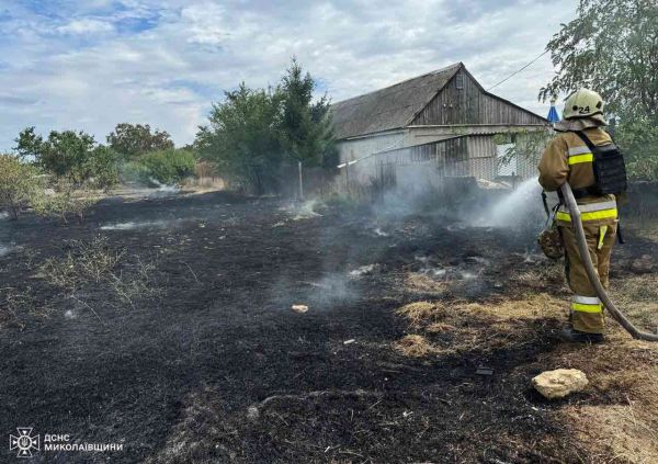 В садово-виноградном обществе под Николаевом произошел пожар