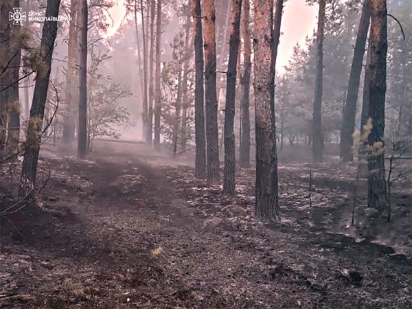 Подожгли с трех сторон: лесной пожар на Николаевщине тушили двое суток