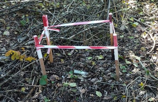 Сегодняшний взрыв в Николаеве: пиротехники взорвали найденный в парке снаряд