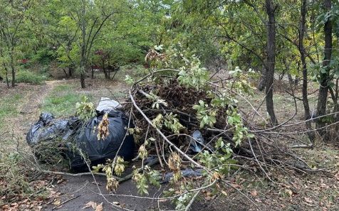 В Варваровке экологи обнаружили семь несанкционированных свалок