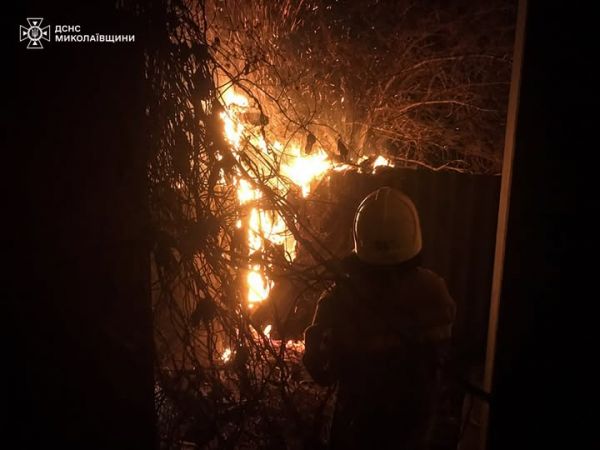 В Николаевской области сухостой загорелся после падения дрона, а камыш на Южном Буге подожгли неизвестные