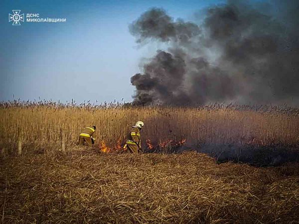 Вчера браконьеры Николаевской области четыре раза поджигали камыш