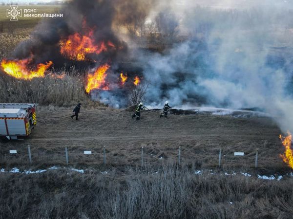 На Николаевщине снова поджигают камыш: сегодня пожарные остановили огонь в 100 метрах от домов