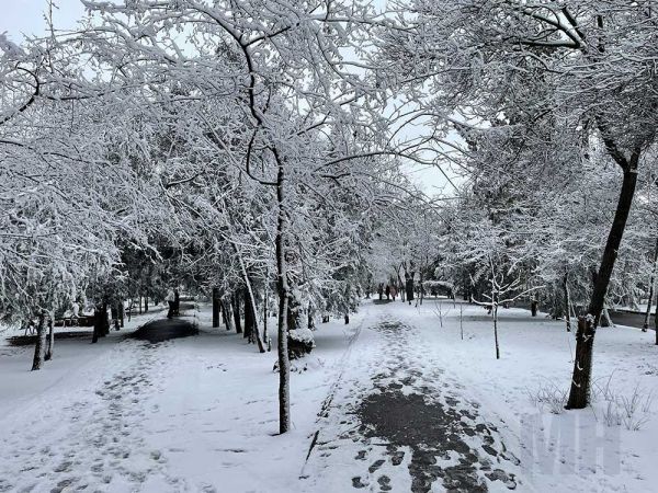 В конце зимы в Николаеве выпал первый снег (фото)