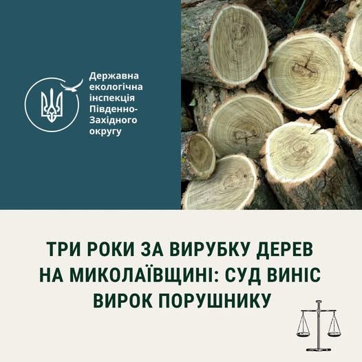 В Николаевской области «лесного браконьера» посадили на три года