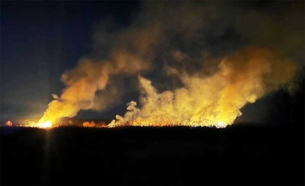 В Николаевской области снова начались поджоги камышей: вчера сгорело 1,5 га